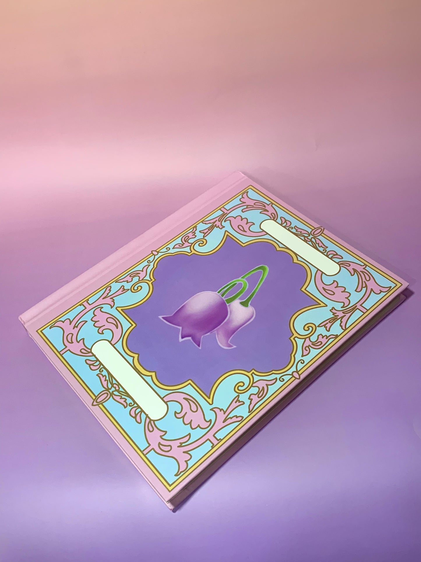 12 Dancing Princesses notebook