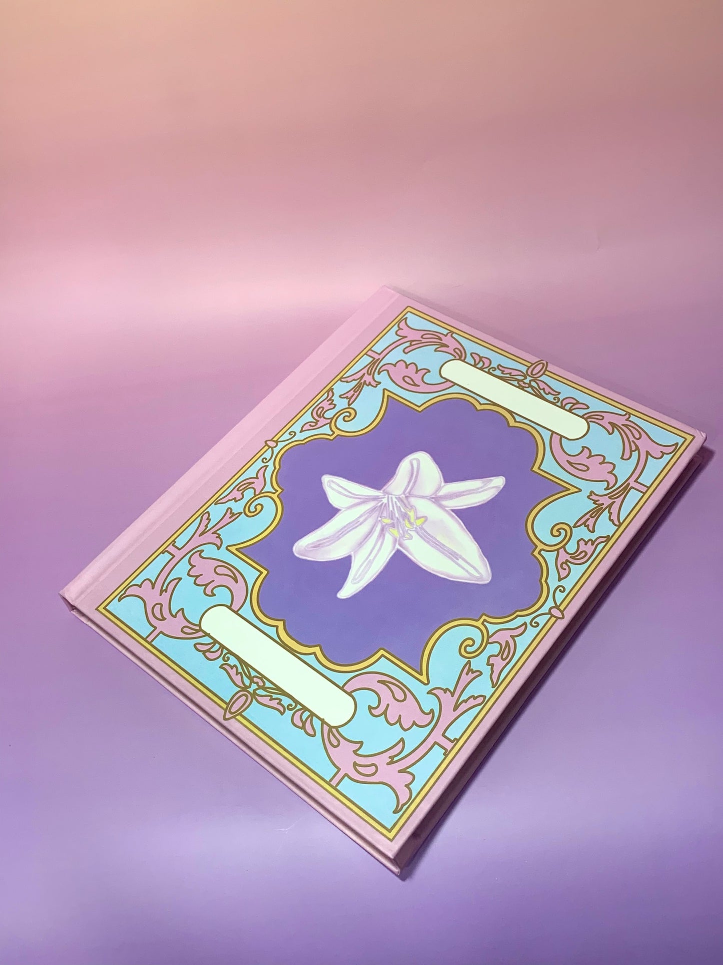 12 Dancing Princesses notebook