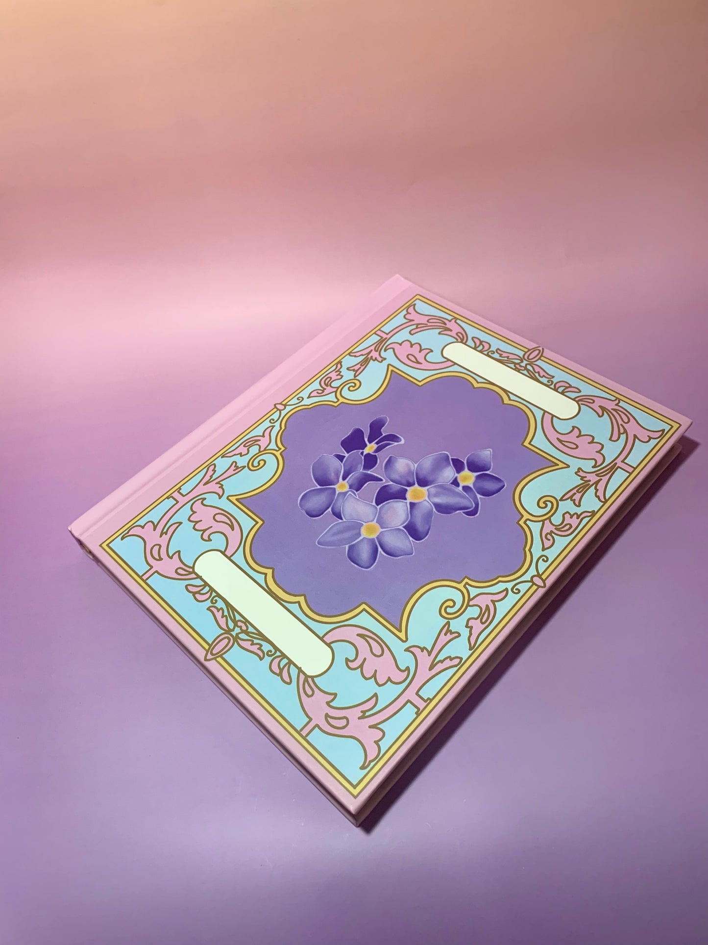 12 Dancing Princesses notebook