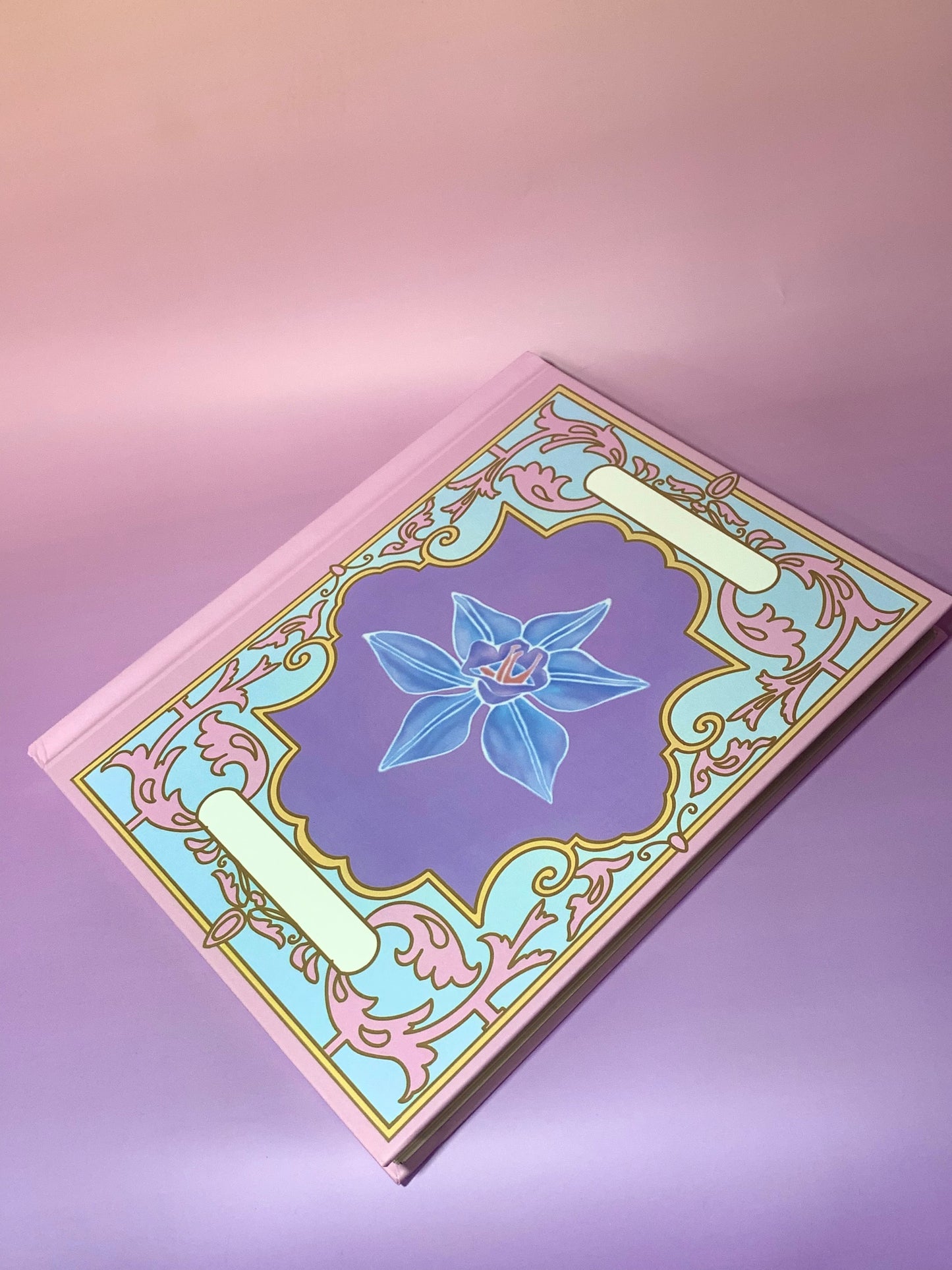 12 Dancing Princesses notebook
