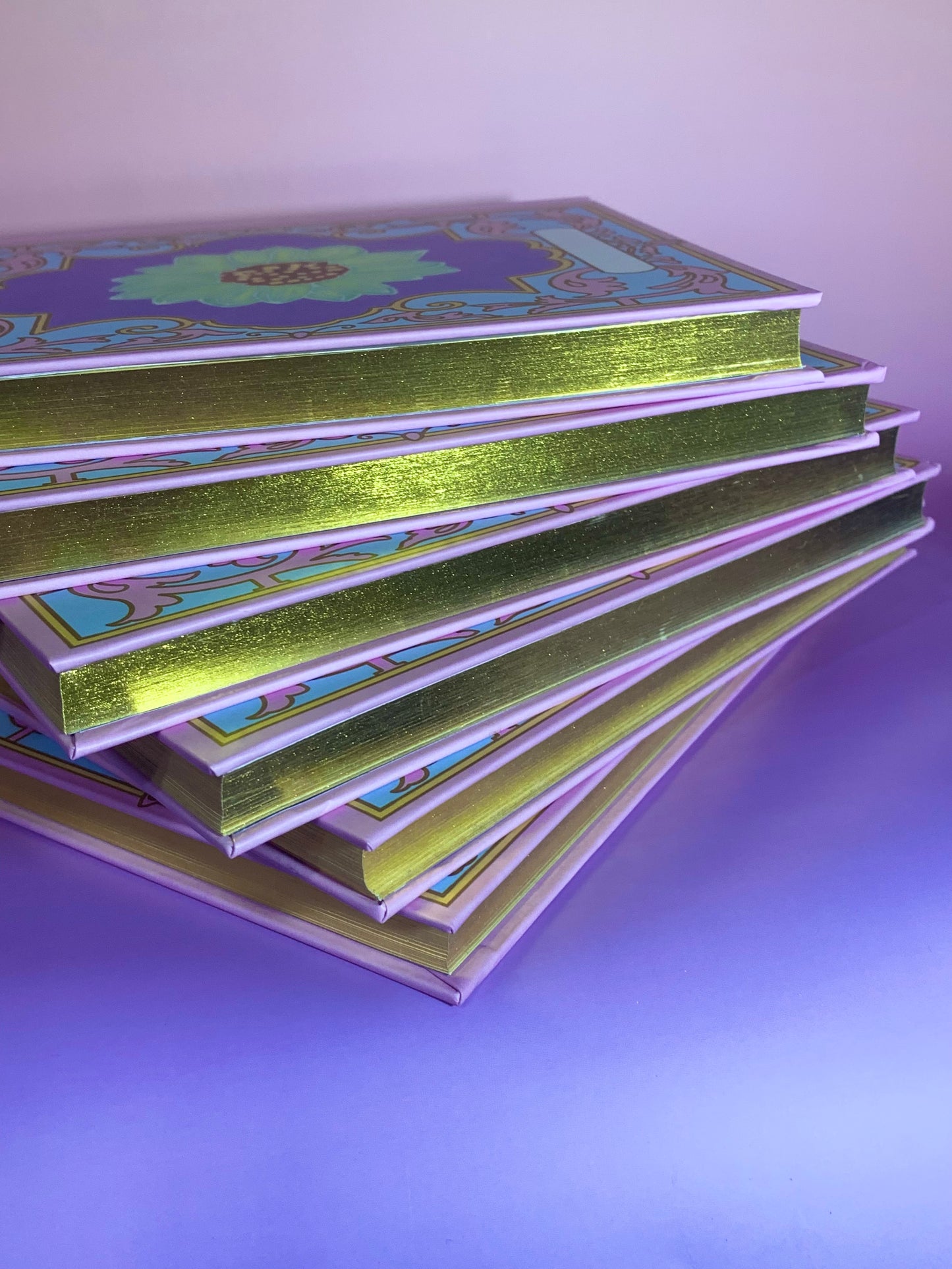 12 Dancing Princesses notebook