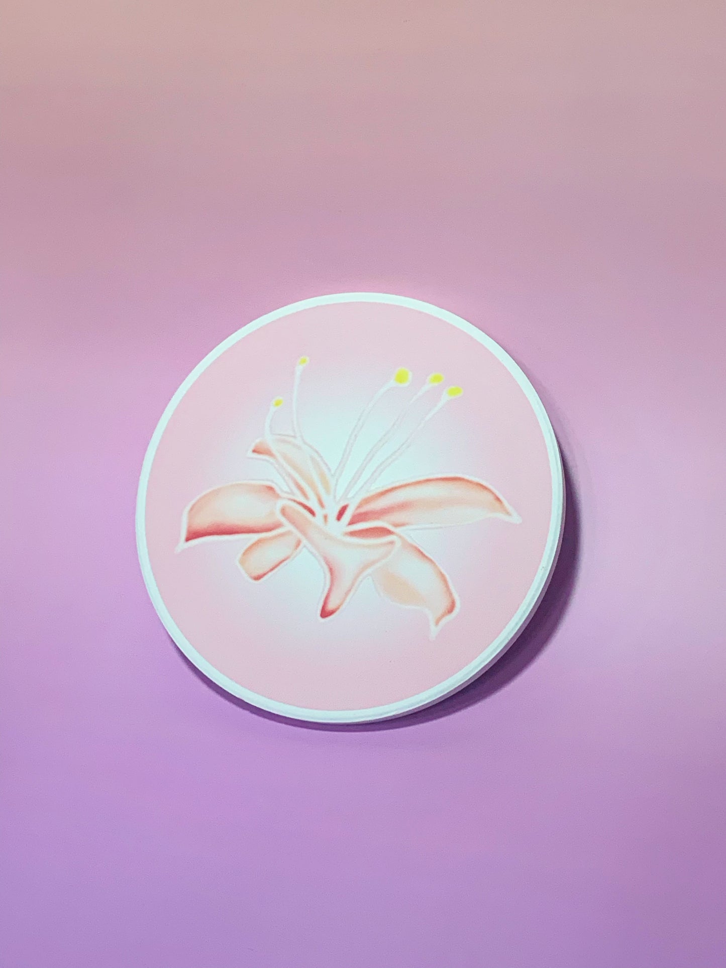 12 Dancing Princesses coaster