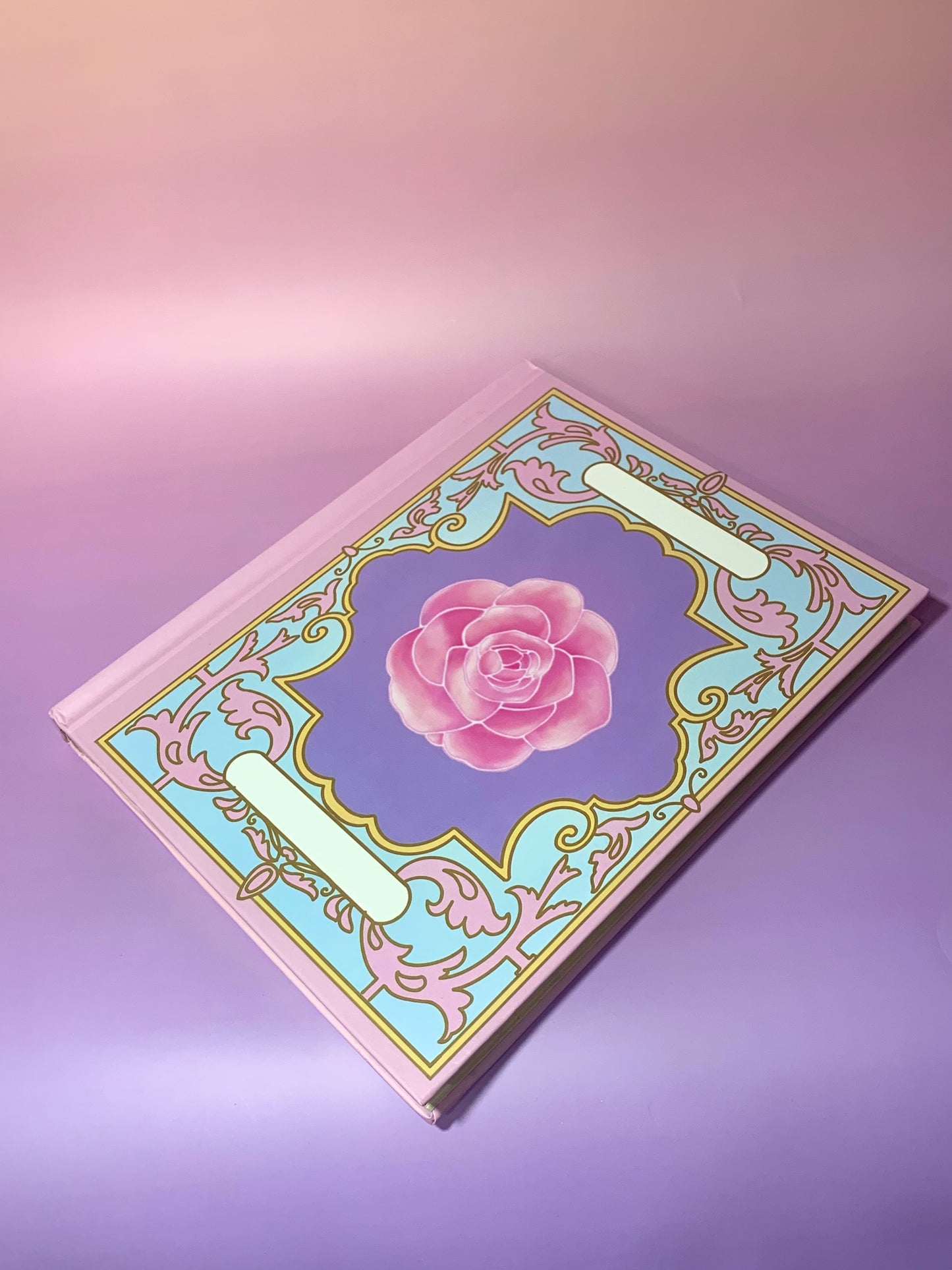 12 Dancing Princesses notebook