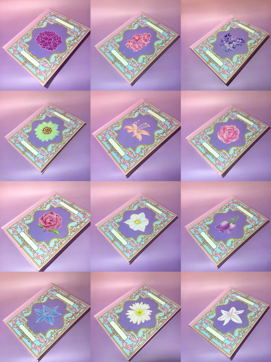 12 Dancing Princesses notebook