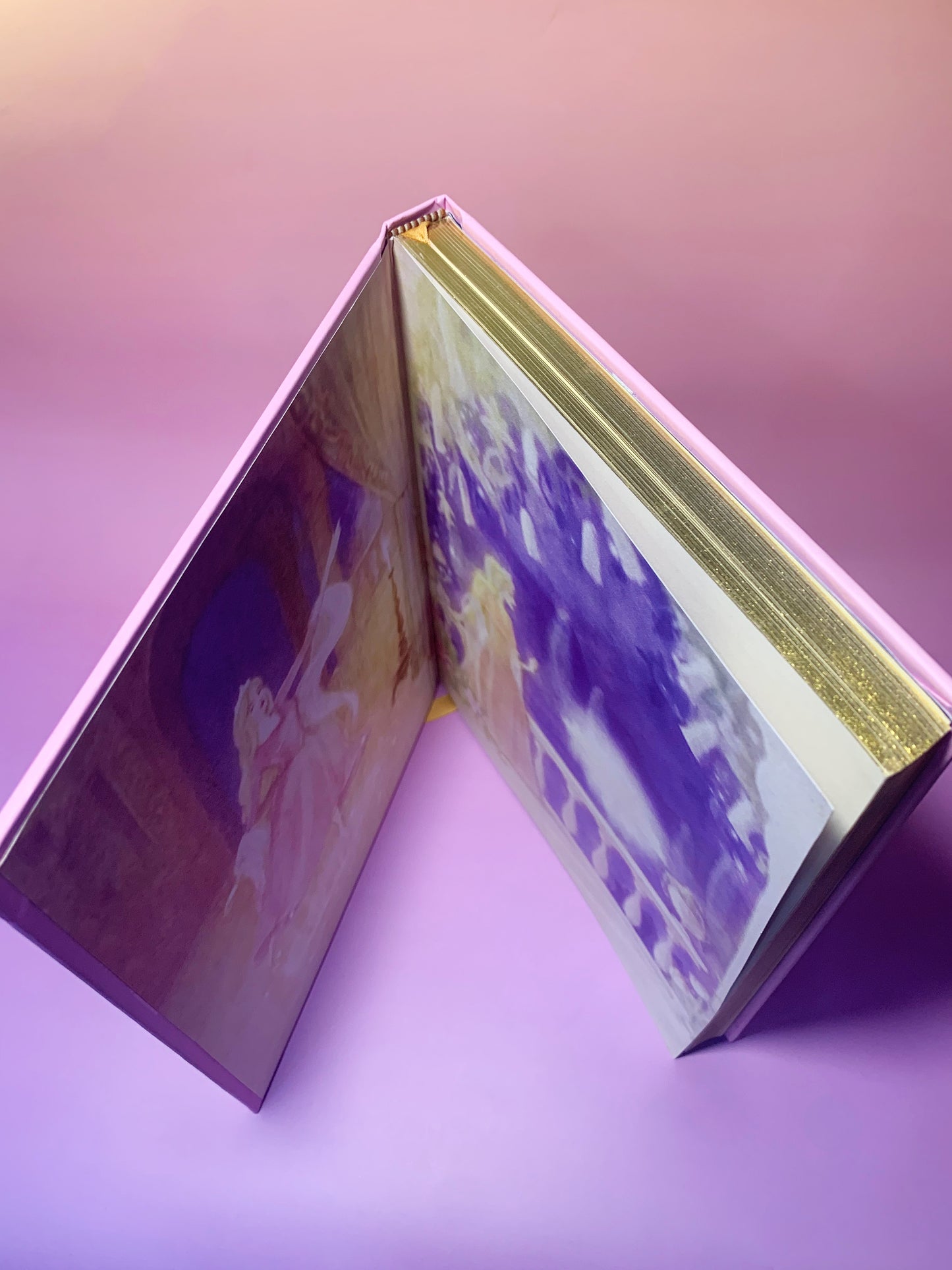 12 Dancing Princesses notebook