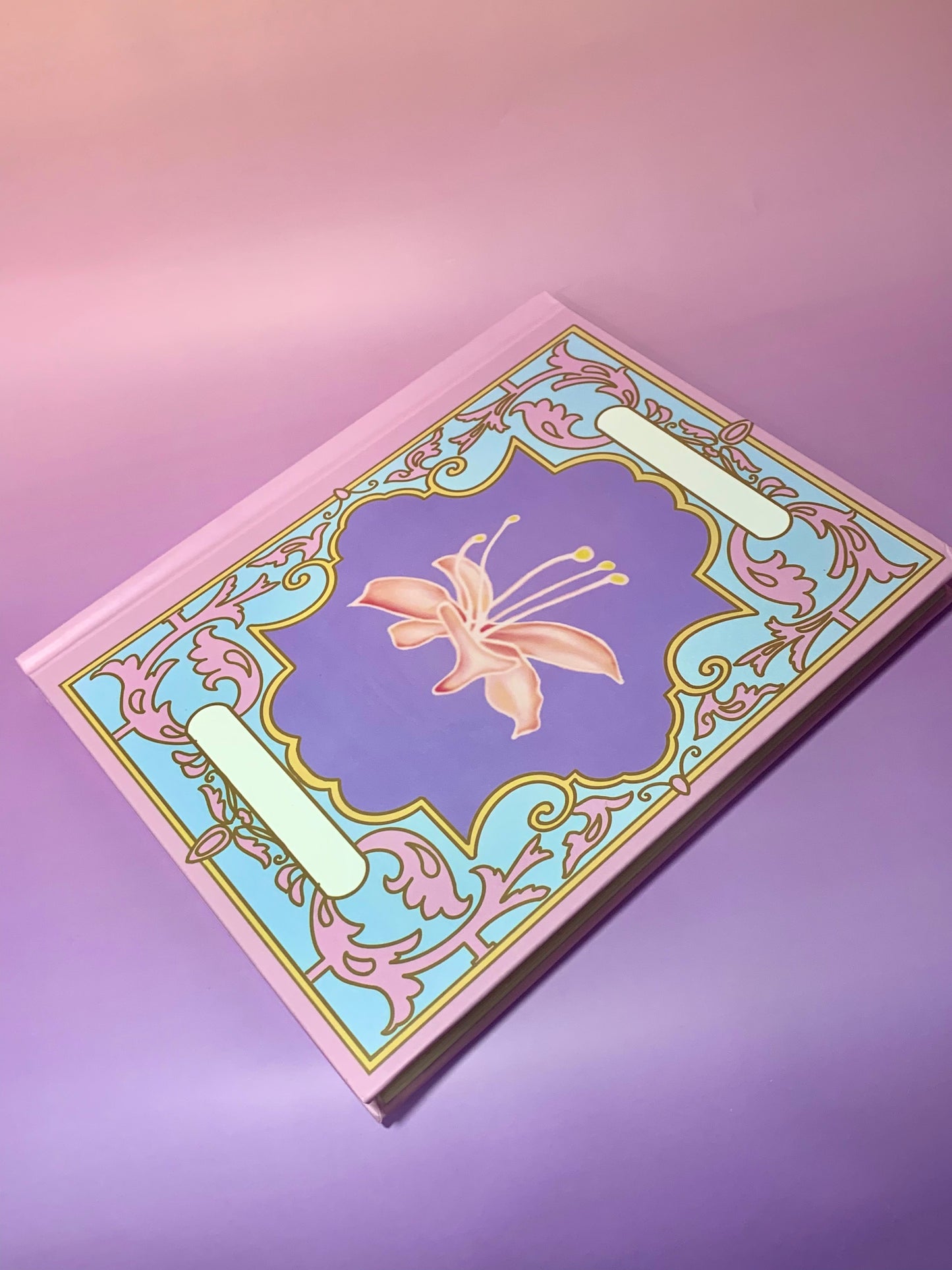 12 Dancing Princesses notebook