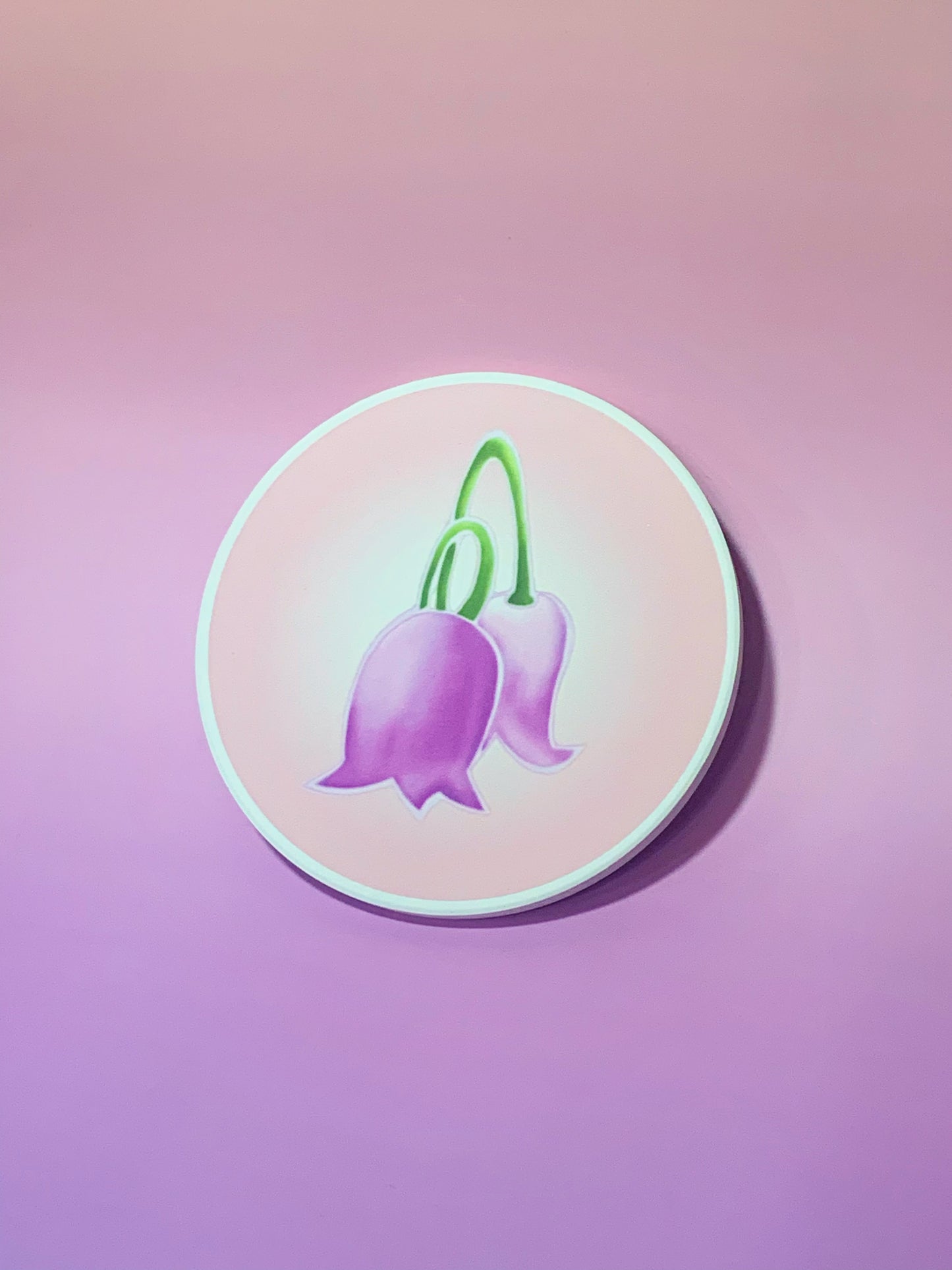 12 Dancing Princesses coaster
