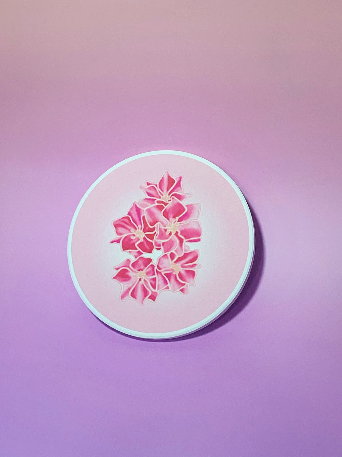 12 Dancing Princesses coaster
