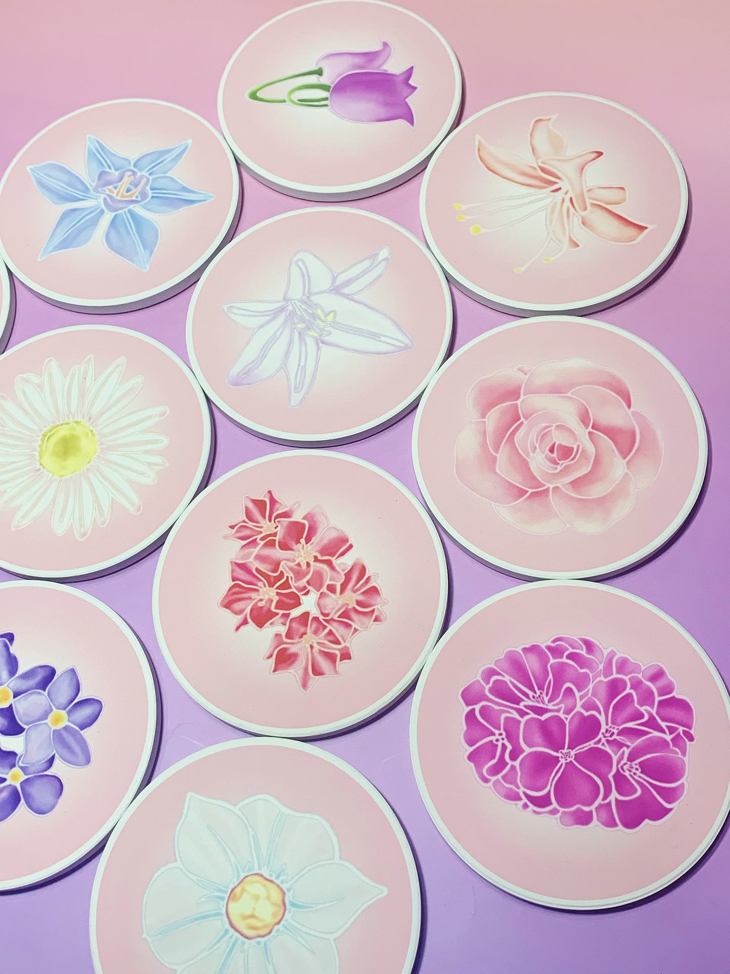 12 Dancing Princesses coaster