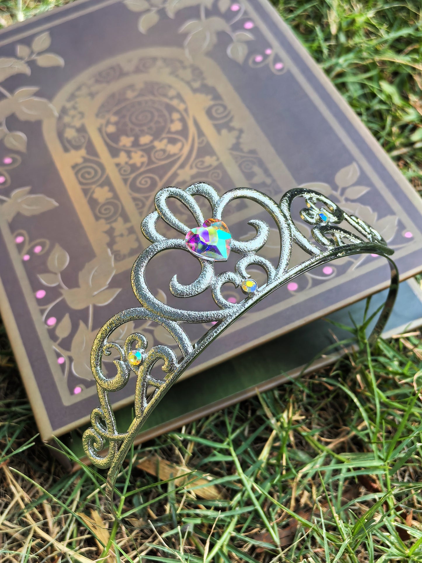 The secret door princess crowd