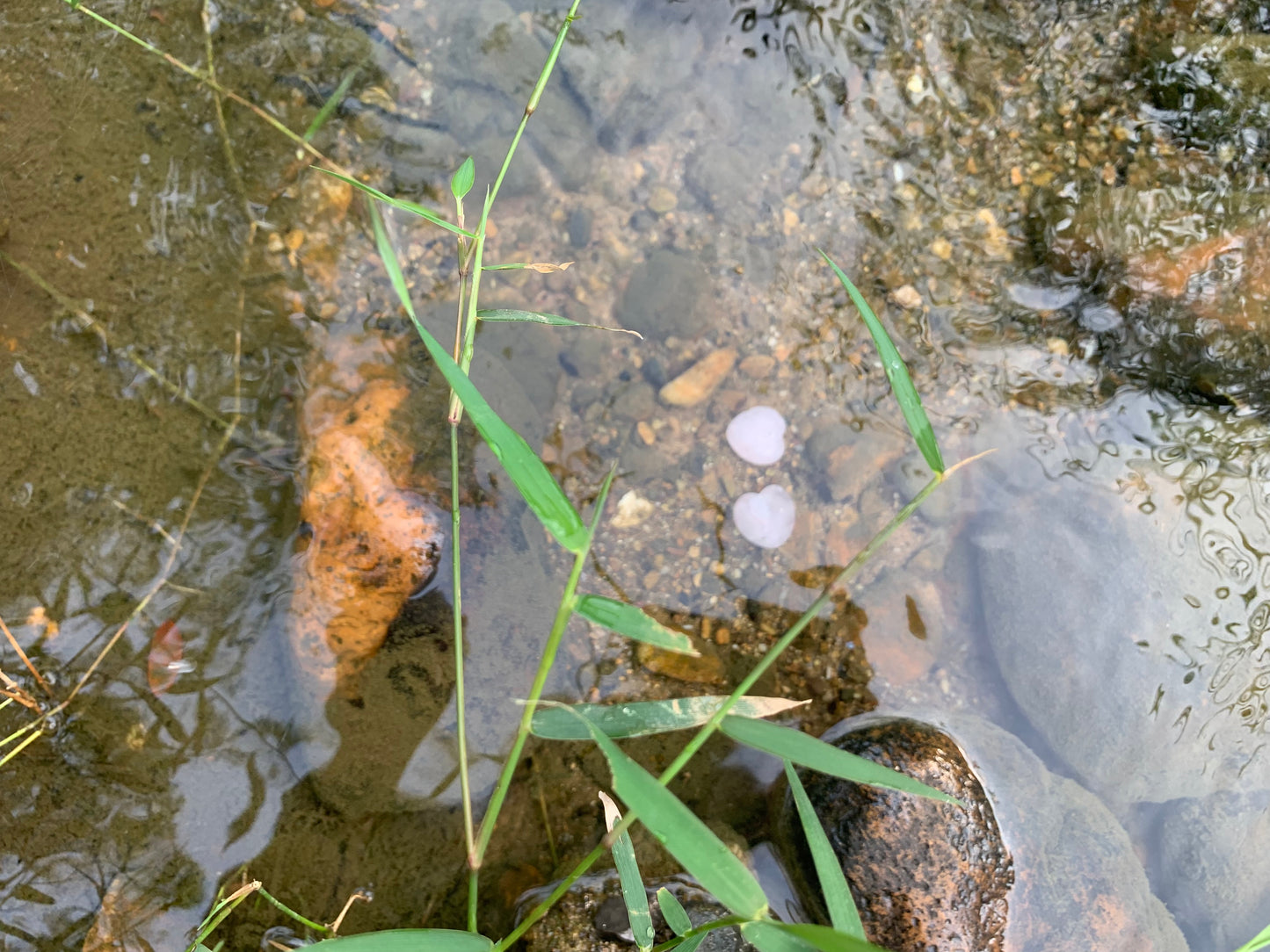 Diamond Castle Necklace heart-shaped stone