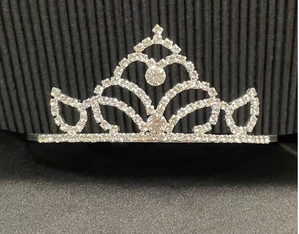 Princess Charm School practice crown