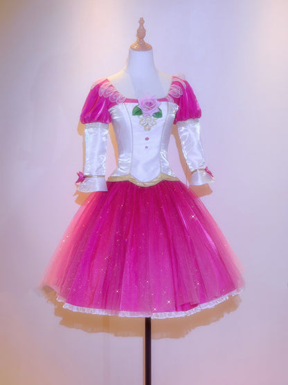 12 Dancing Princesses Genevieve dress