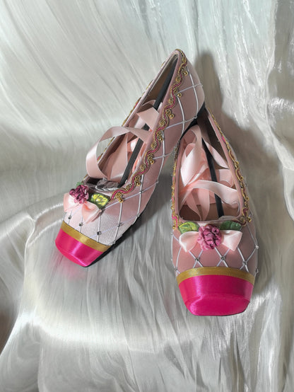 12 dancing princess shoes