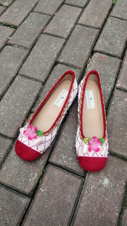 12 dancing princess shoes