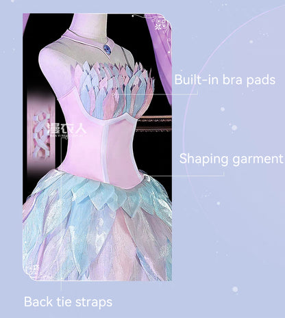 Swan Lake dress